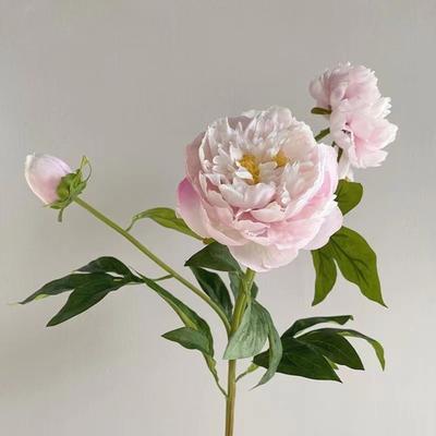 New 75CM Peony Silk Flowers Table Decor 3 Heads Simulation Flowers DIY Long Branch Artificial Peony Bouquet Gifts