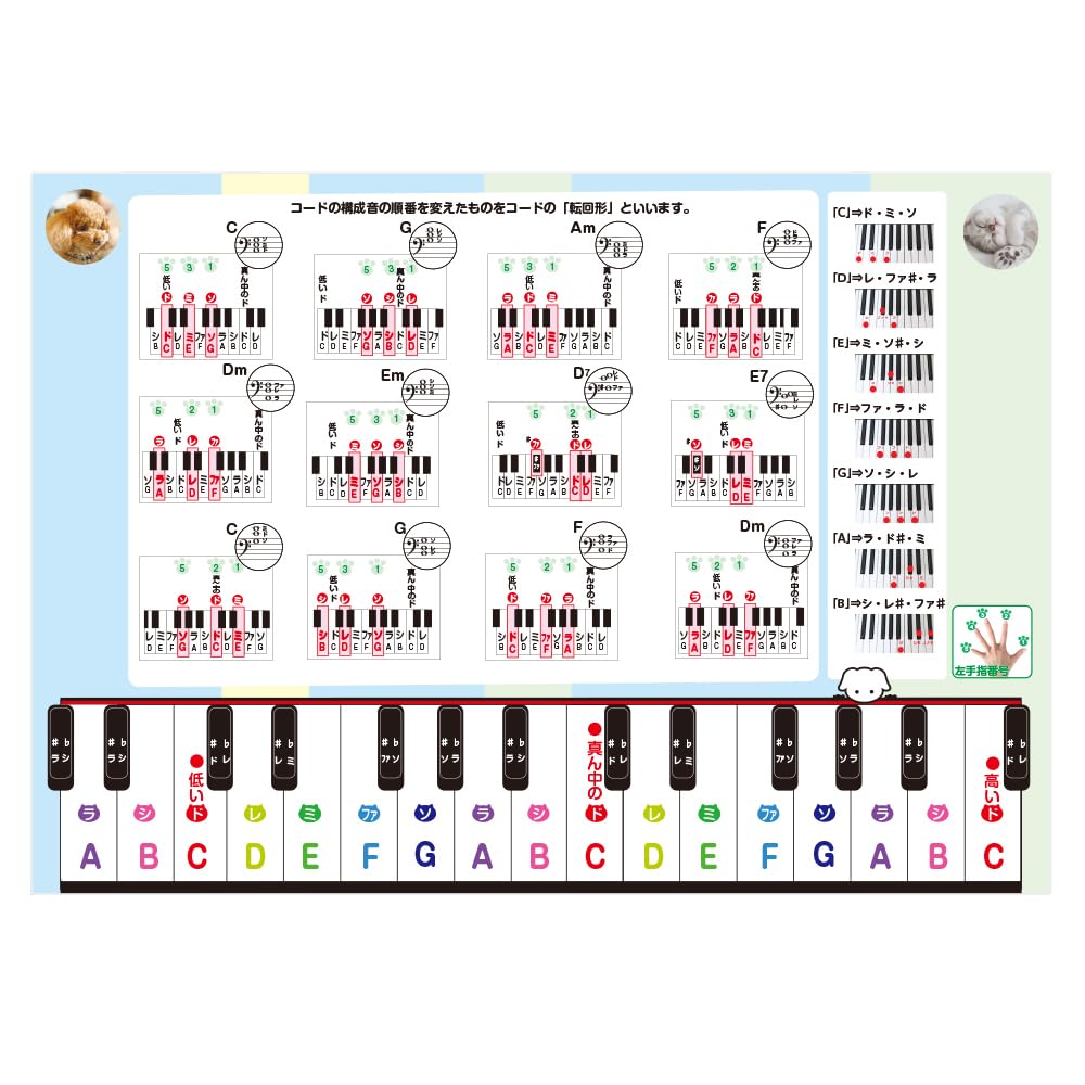

Floating Chord Bath Poster A3 Size Piano Teaching Lesson Learning / Double-Sided / / Notes, Rhythm, Keyboard, Beginner, Self-Study, Music, Materials,