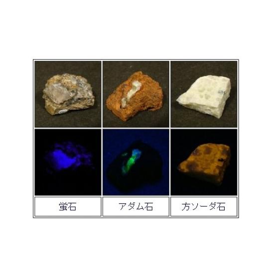 Tokyo Science Fluorescent Mineral Specimen Set Wave 10 (Long Fluorescence, Species)