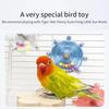 De Toy for Parrot, Unique Rotating Toy To Help Animals Release Excess Energy, Made of Safe Materials, I6r6 Non-scratch Wheel