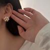 2023 New Popular Brand Vintage Earrings Luxury Jewelry for Women Fashion Designer Eardrop Pearl Lady Party Snowflake Ear Stud