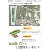Medicated Natto Bean Toothpaste Plus 120g (Set of 3)