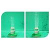 Frog Water Spray Toy for Kids Outdoor Water Play Pump with 4