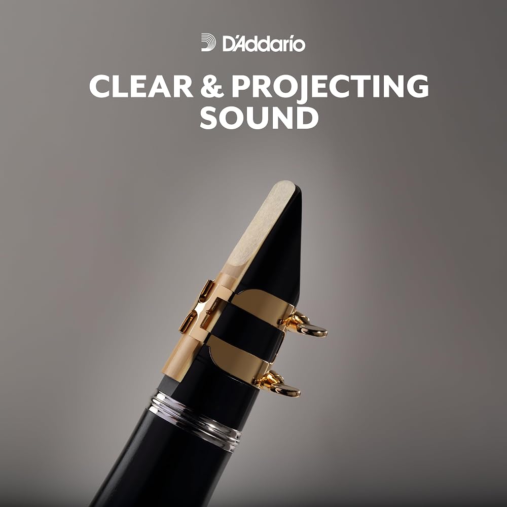 D'Addario WoodWinds Daddario Reed Bass Clarinet RICO REA2535 [Hardness: 3.5] Pack of 25 [Domestic...