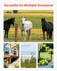 Farm Fence, 1 x 25 m, 2 x 4 in Mesh 2.1mm Galvanized Steel Wire Fencing for Cattle, Hog & Sheep, Heavy Duty Vinyl Coated Livestock Fence for Animal