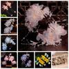 Pearl Ancient Hair Clip Tassel Hanfu Headwear Elegant Silk Flower Hairpin  Children