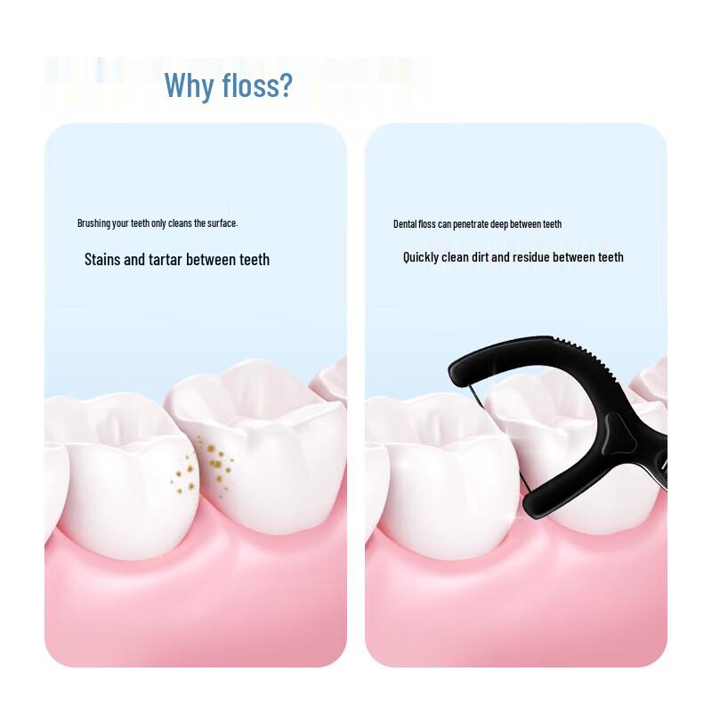 Xiao Lu Mama Bamboo Charcoal Dental Floss Picks