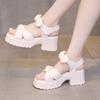 Women's Shoes Outdoor One Word Sandals for Woman Roman Style Black Bow Footwear Summer 2025 Platform with Youthful Emo Offer