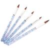 5 stücke Nagel Malerei Zeichnung Pinsel Hause Salon Tragbare DIY Nylon Haar Nail art Pinsel Set