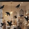 12pcs Thick Paper Black Crow Hanging Decor Dark Glittery Paper Birdcage Pendant  Bar Club