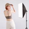 Professional Studio Photography Softbox LED Light Kit with 20*28 Inch Softbox * 2 + 3000K-6000K Bi-color Temperature 150W LED Light * 2 + 2M Light Sta