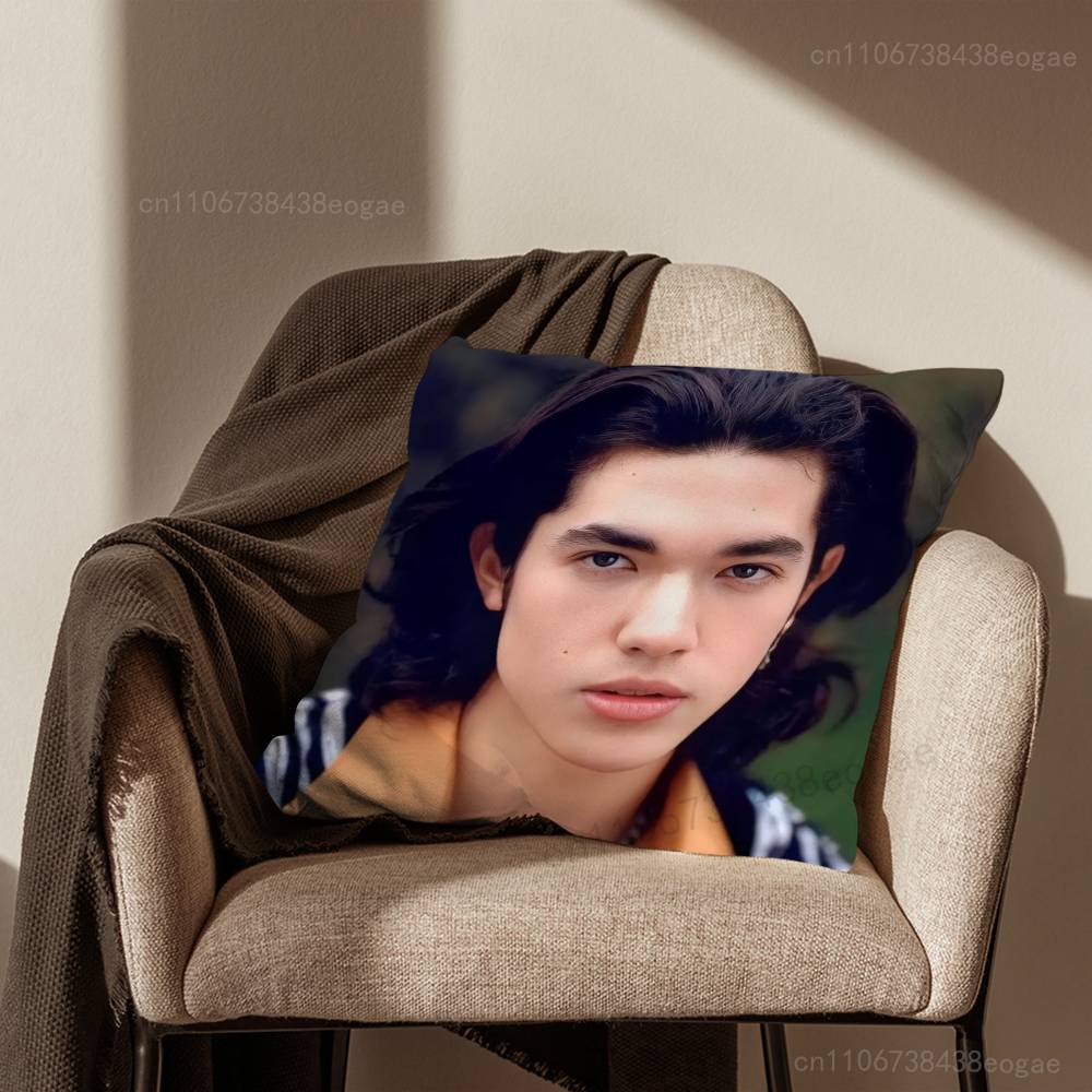 Handsome C-Conan G-Gray Pillow Case For Room Sofa Cushion Cover Suitable For Home Bedroom Decoration And Protector