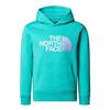 Boys Drew Peak Cotton Fleece Lined Relaxed Fit Hoodie