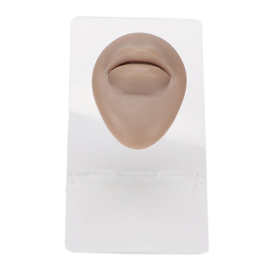 Simulated 3D Mouth Model Piercing Practice Silicone Mouth Model with Acrylic Stand for Jewelry Display Dark Skin Color