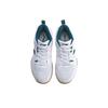 Li Ning Ace Mesh Cushioning Breathable Moisture Wicking Abrasion Resistant Support Low top Badminton Shoes Men's White AYTQ027-1
