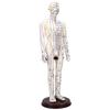 52cm Acupuncture Model 360 Degree Rotatable Arms Acupoint Body Model for Student Teaching Demonstration White Men