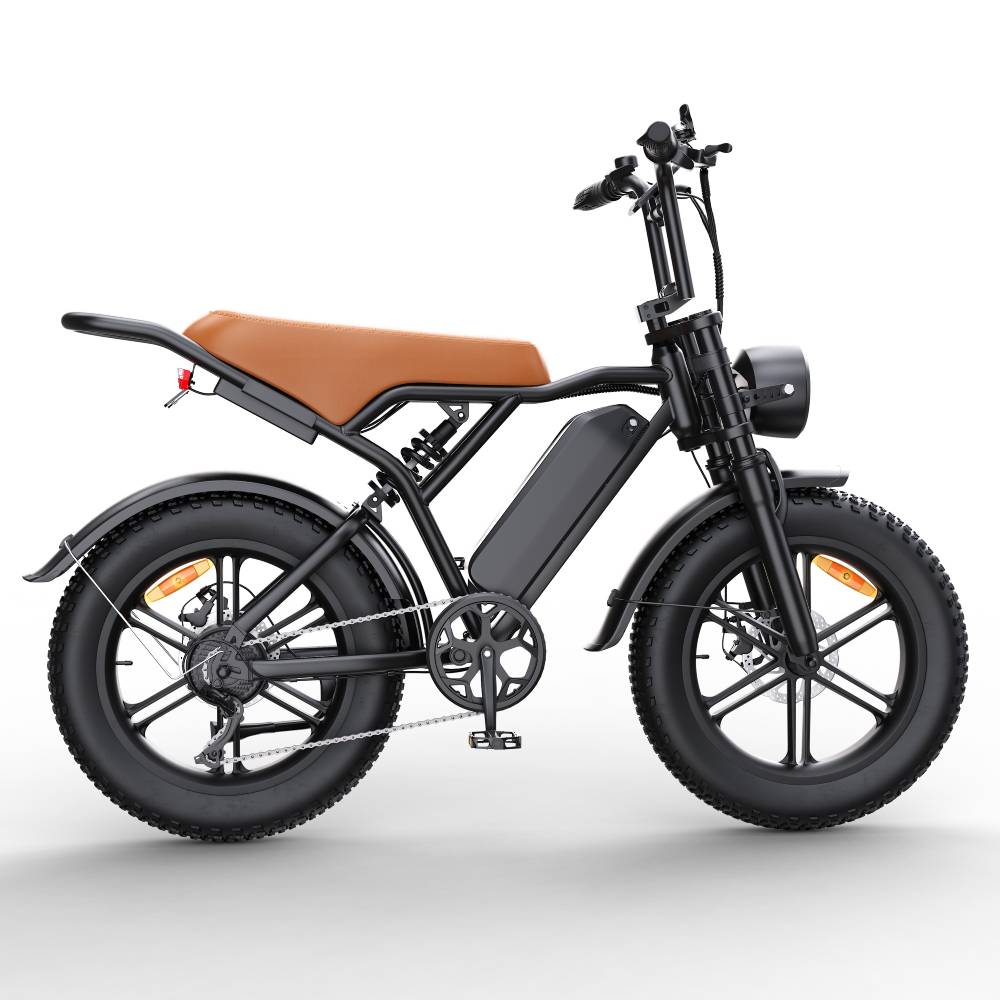 Toofly G20 Adult Electric Bicycle 250W Motor 48V15.6AH Battery 20*4 Fat All-Terrain Tires Electric Bicycle