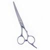 Stainless Steel Barber & Hairdressing Scissors Set: Flat Tooth & Thinning Options