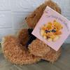 [USED] Y-141 Teddy Bear Collection Teddy Bear Puppet