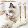 Silvervine & Catnip Cat Chew Toy Kitten Teething Pet Snack Stick Training Toy Cat Teeth Health Toy Kittens Chew Training Toy