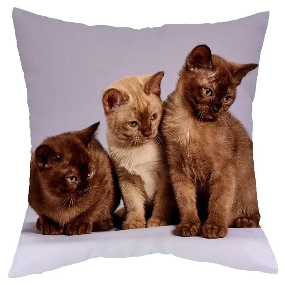Cute Cat Pillowcase D Flat Printed Peach Skin Cushion Cover Realistic Kitten Animal Pattern For Sofa Living Room Decor