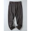 Original Export Wool Anti-Wrinkle Non-Iron Stretch Breathable Loose Straight-Leg Business Casual Pants for Men Autumn Season
