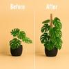 60-120CM Bendable Moss Pole for Plants Coconut Palm Fiber Monstera Plant Support Handmade Coco Climbing DIY Garden Accessories