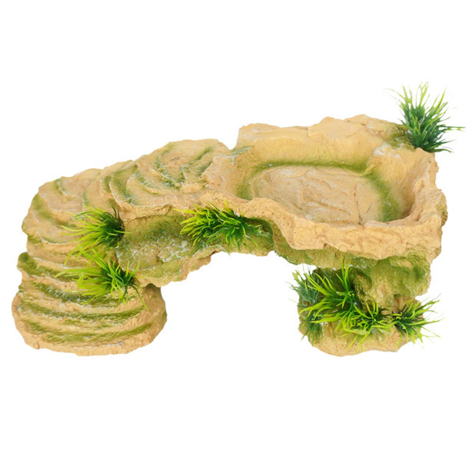 

Тераріуми, платформа для грінок, акваріуми, укриття для рептилій, акваріуми з черепахами, ландшафтний декор для домашнього офісу 12