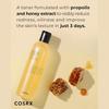 Full Fit Propolis Synergy Toner 280 ml