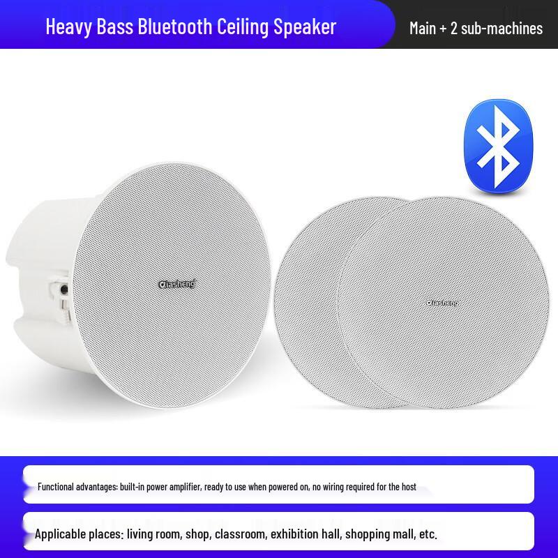 QIASHENG Commercial Bluetooth Ceiling Speaker System