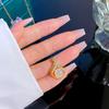 Elegant Temperament Pendant Necklace - High-Quality, Light Luxury, Versatile Clavicle Chain for Women, Niche Design, Internet Celebrity Style.