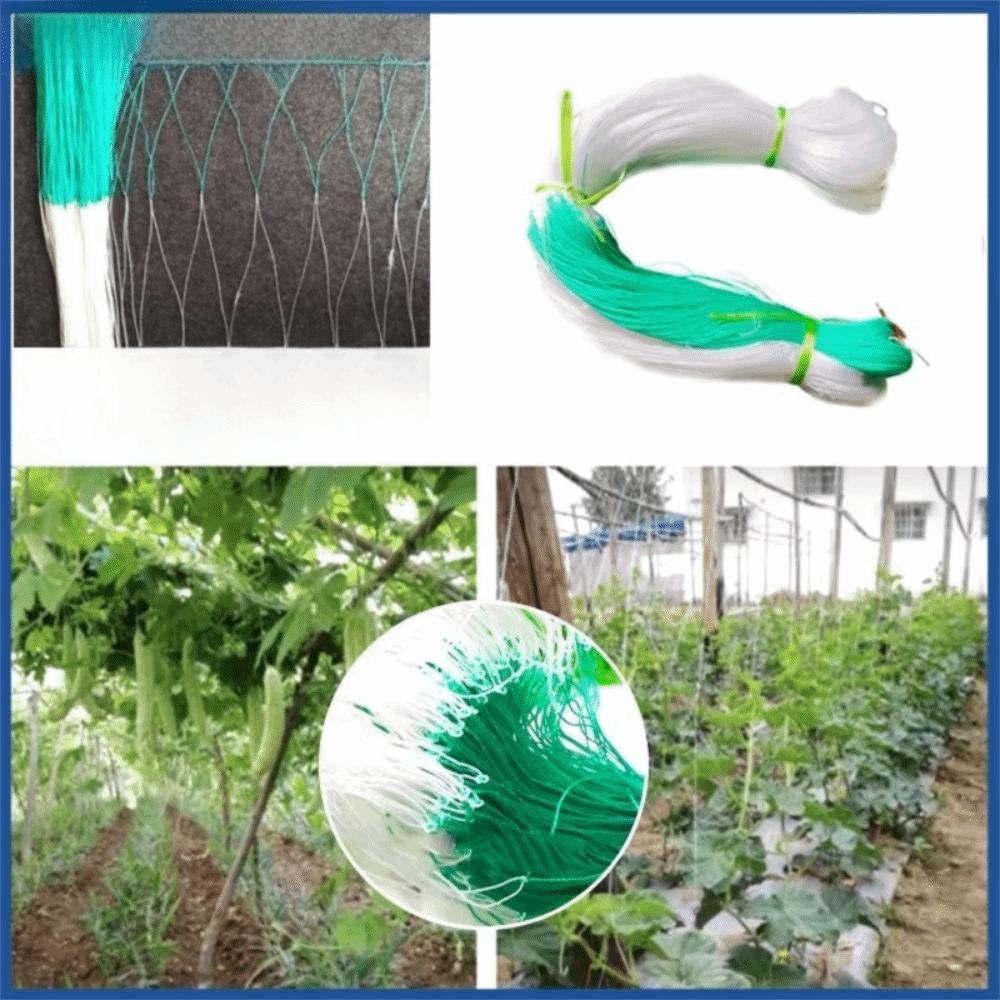 Reusable Climbing Vine Net 2x100 M Vegetable Trellis New Plant Climbing Net  Pond Pool Protection