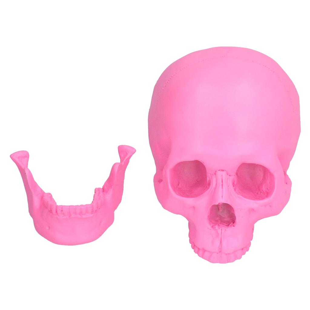 Pryskyřičná Halloweenská Dekorace Lebky Festivalové Domácí Rekvizity Falešná Celá Lebka Ozdoby Růžová