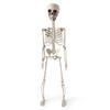 Décoration Squelette d'Halloween Effrayante avec Articulations Articulées pour Maison Hantée Fête à Thème Gothique Décoration de Maison