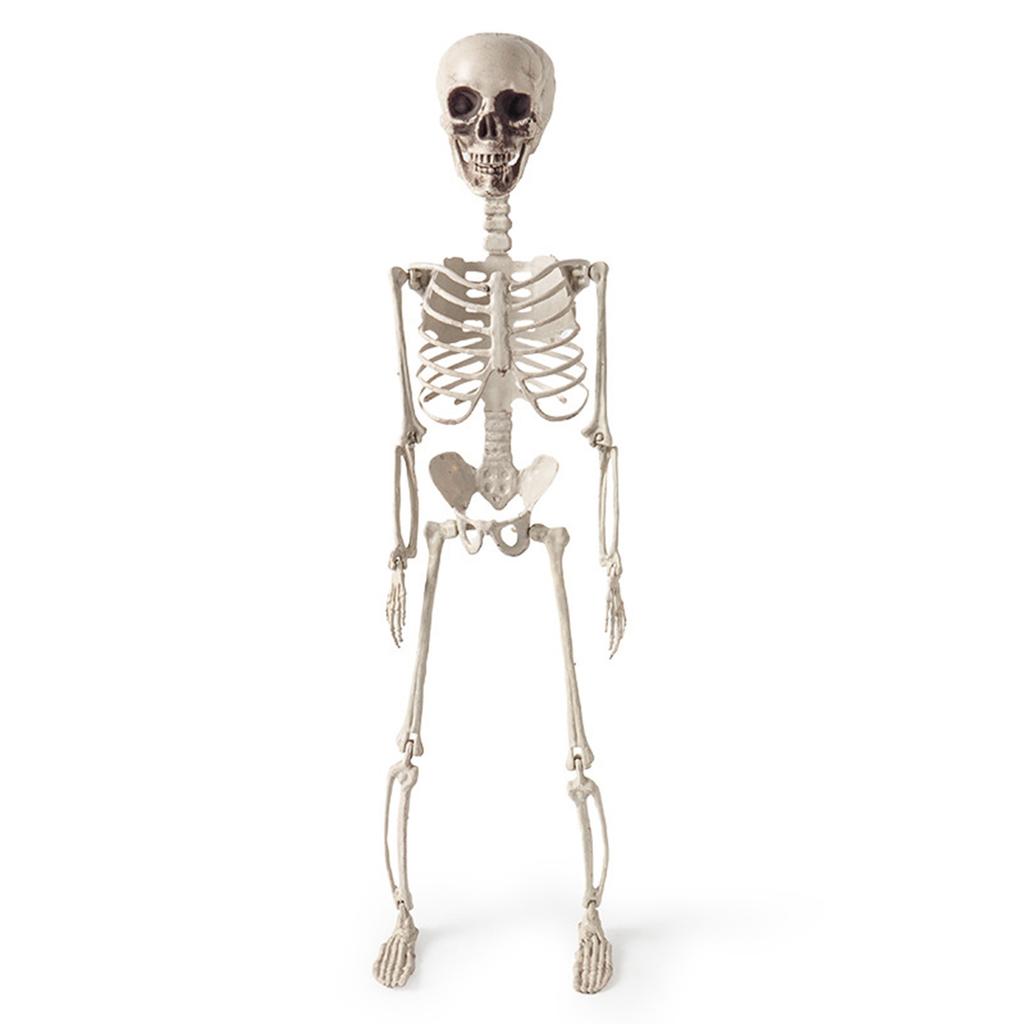 Décoration Squelette d'Halloween Effrayante avec Articulations Articulées pour Maison Hantée Fête à Thème Gothique Décoration de Maison