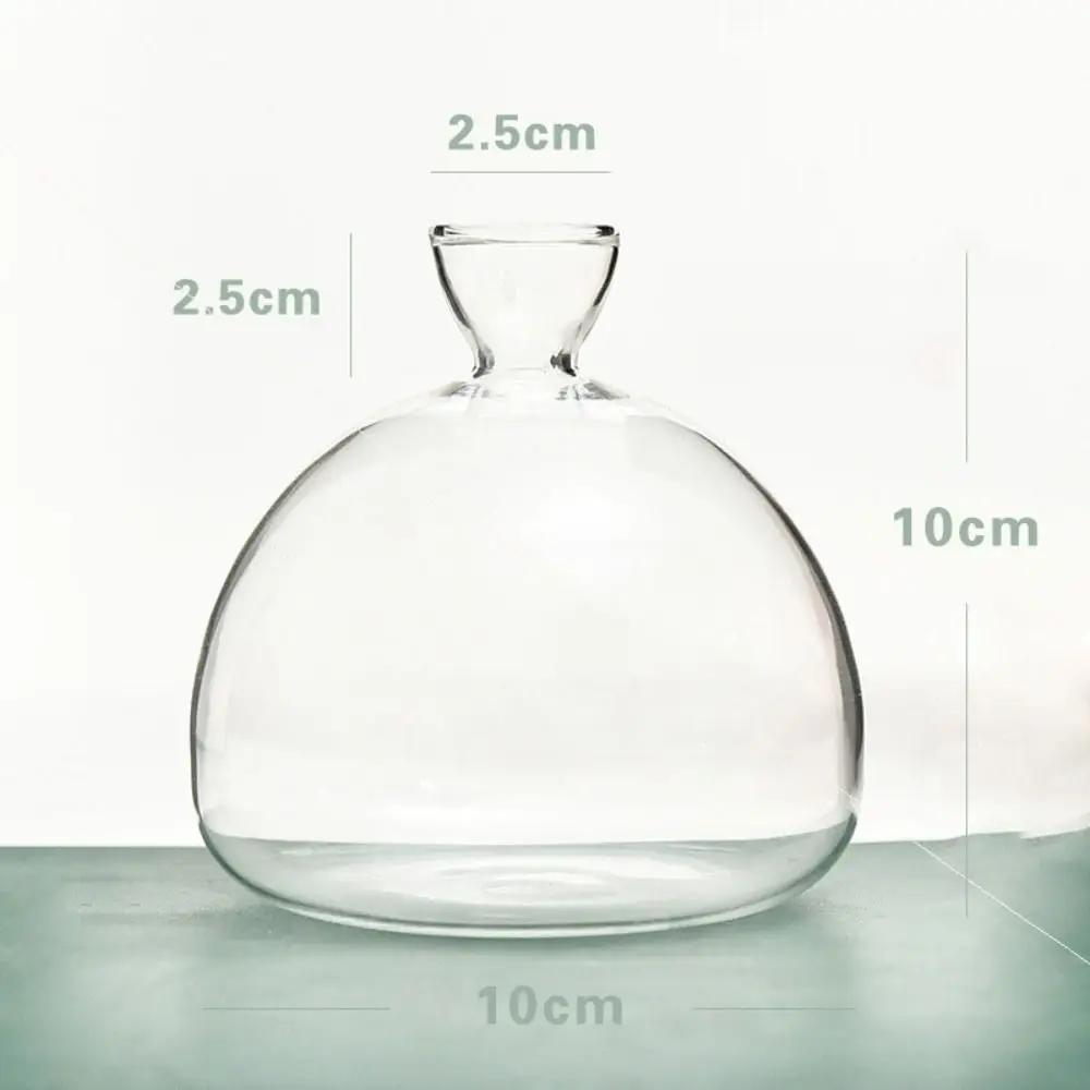 Transparent Avocado Hydroponic Vase Simple Glass Seed Starter Vase Plant Vase Aromatherapy Bottle Seed Growing Kit Nice Gift