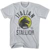 Rocky Italian Stallion 1976 Men T Shirt