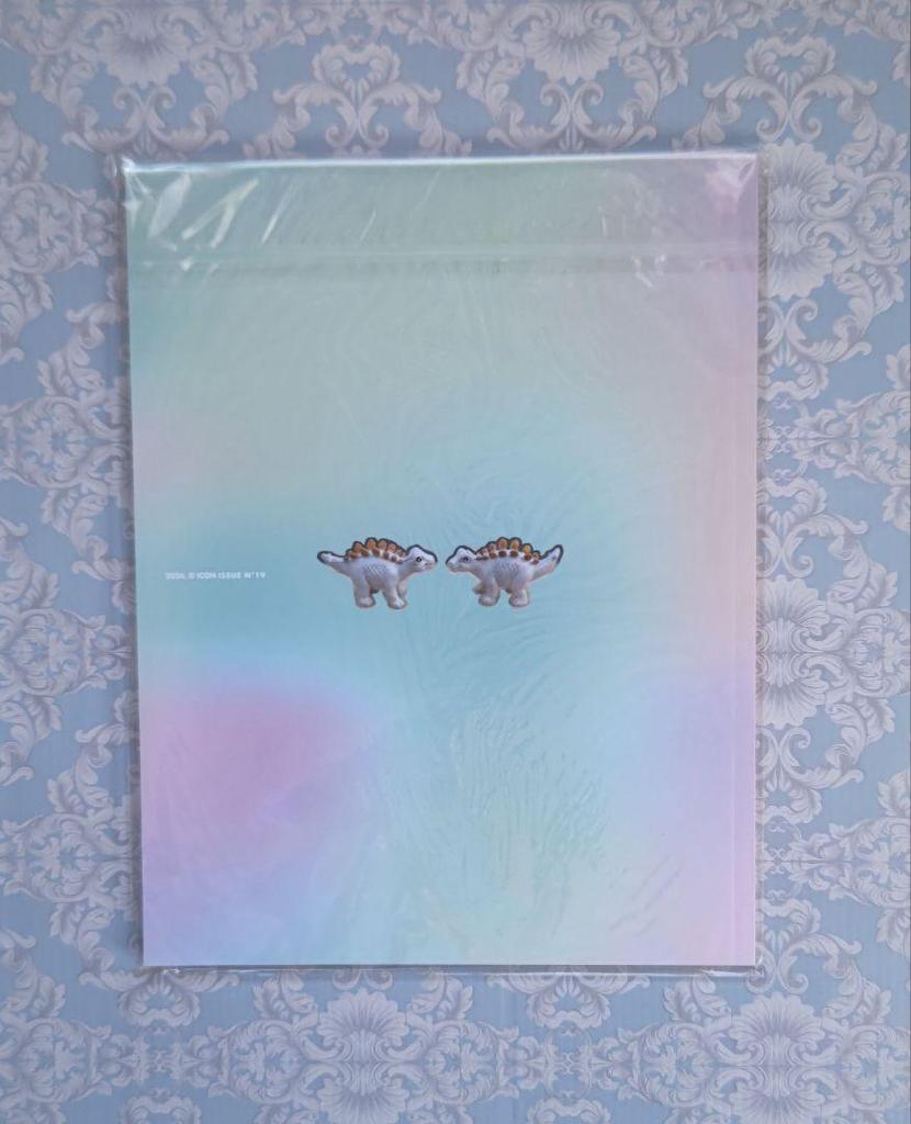[USED] ENHYPEN Sung Hoon & Jay DICON VOLUME No. 19 Photobook