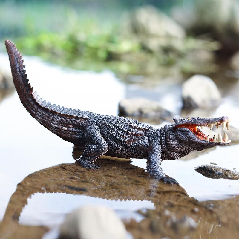 Alligator Crocodile Figurine Plastic Model Figure - Enjoyable Instructive Enjoy Toy Designed for Boys Girls and Children Ages 18M
