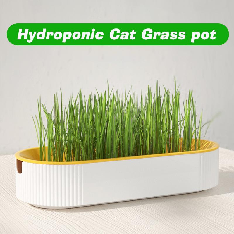 Hydroponic Cat Grass Pot Kitten Treats  Natural Catnip Bowl Soilless Planting Cat Grass Box Indoor Easy Growth Cat Accessories