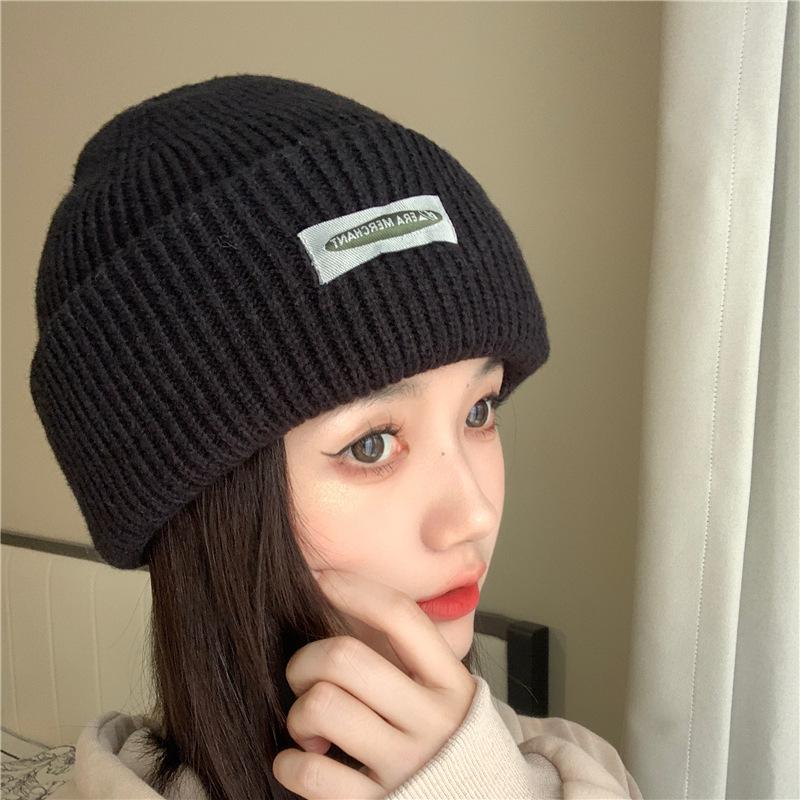 Women's Autumn and Winter Casual Versatile Thickened Ear Protection Bike Warm Small Label Knitted Hat Couple Korean Style Trend