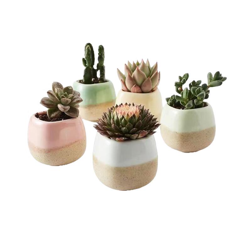 Lilang Creative Pure White 5-Piece Plant Pot Set