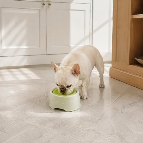 Cat Water Bowl Pet with Floating Disk, No Spill Dispenser Food Grade Plastic for Dogs Cats, Splash Proof Slow Drink Feeder Detachable Container