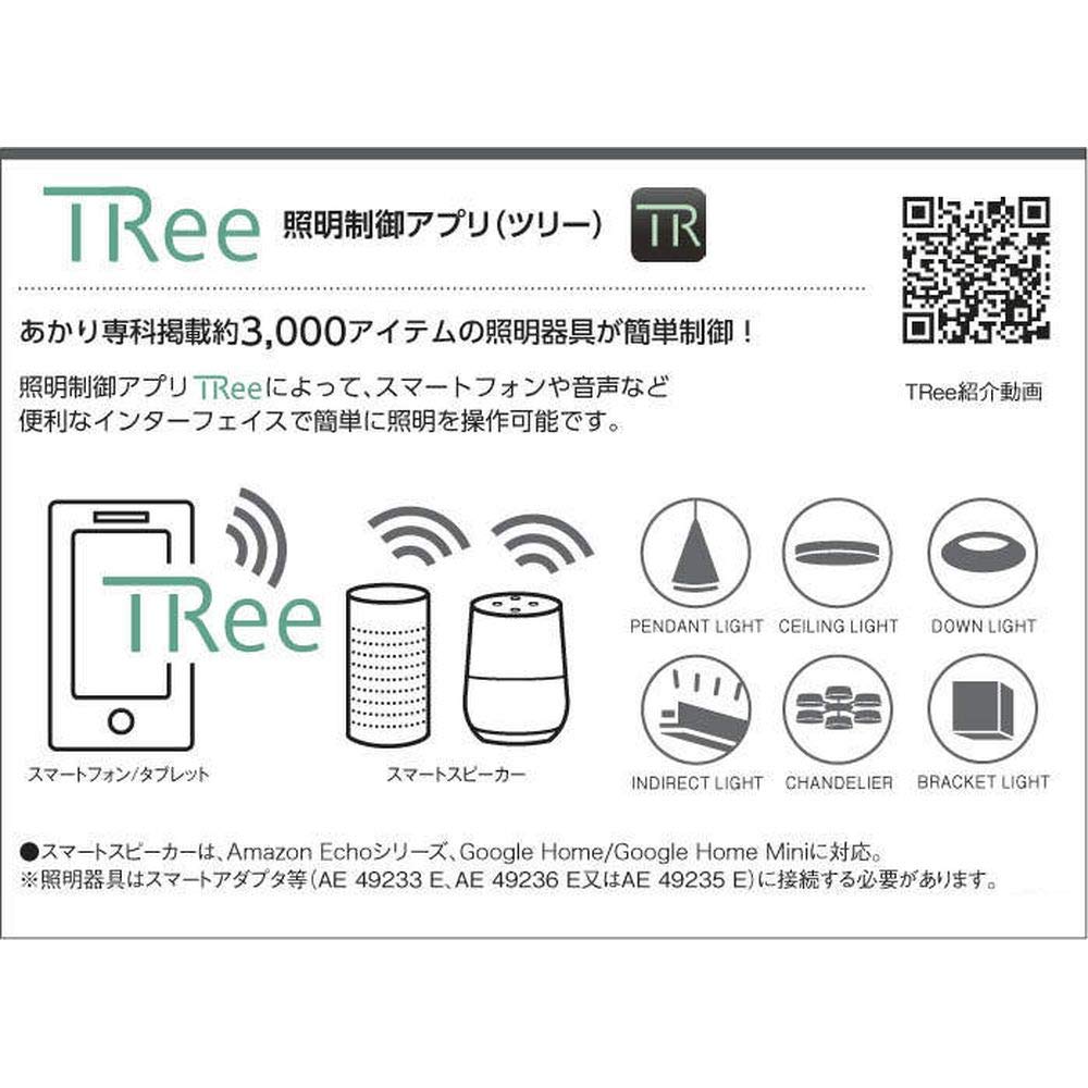 Koizumi Lighting Japanese-Style Entrance Light, 40W Incandescent Equivalent, Warm White, AU45057L