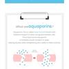 Cell Fusion C - Aquaporin Cream