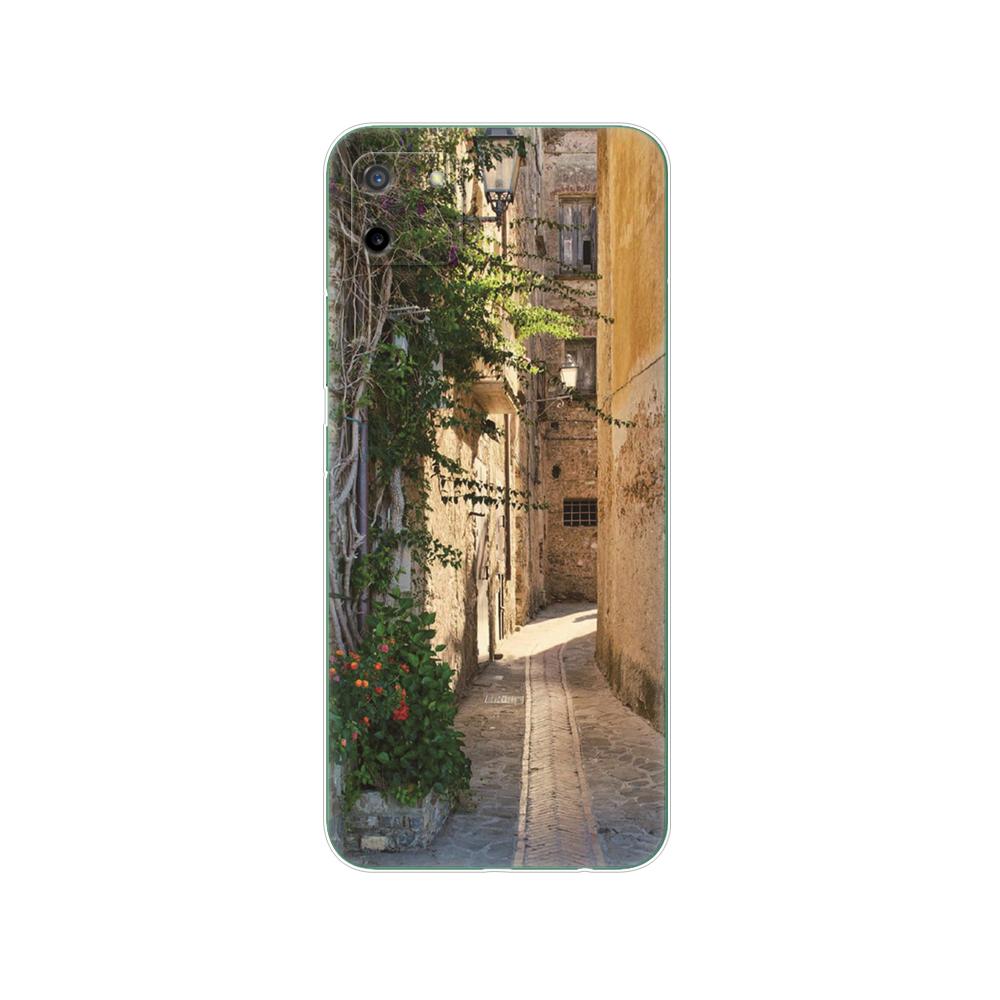 För Realme C11 2021 2020 Fodral TPU Silicon Back Cover Telefonfodral För OPPO RealmeC11 C 11 Soft Fodral RMX3231 RMX2185 stötfångare 6,5 tum