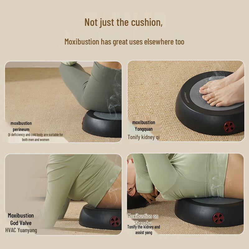 HEZHENG Portable Ai Moxibustion Therapy Cushion