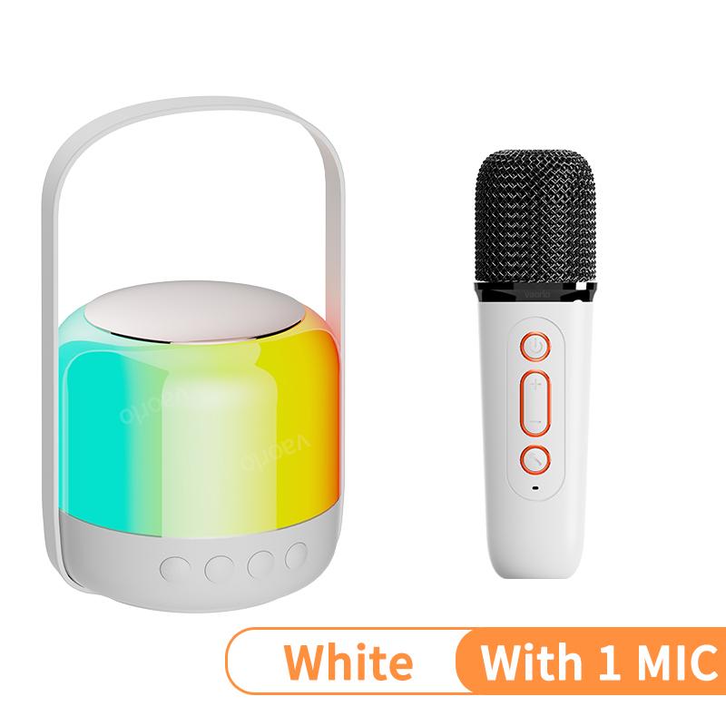 Portable Wireless Dual Microphone Karaoke Machine Bluetooth PA Speaker KTV DSP System HIFI Stereo Sound RGB Colorful LED Lights