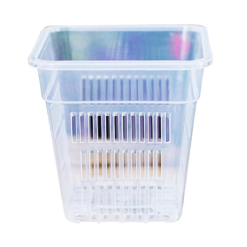 Transparent Square Resin Root Control Pot for Orchids (Aoyama J51)