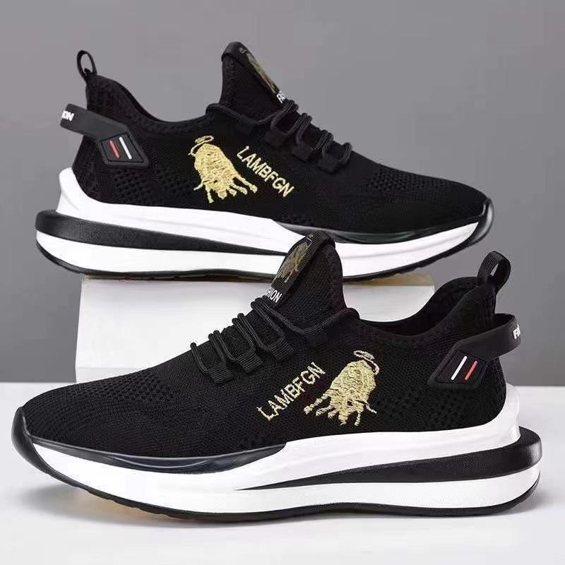 2025 New Men's Shoes, Summer Mesh Breathable Casual Running Shoes, Youth Trend Shoes Nabri PVC Sole